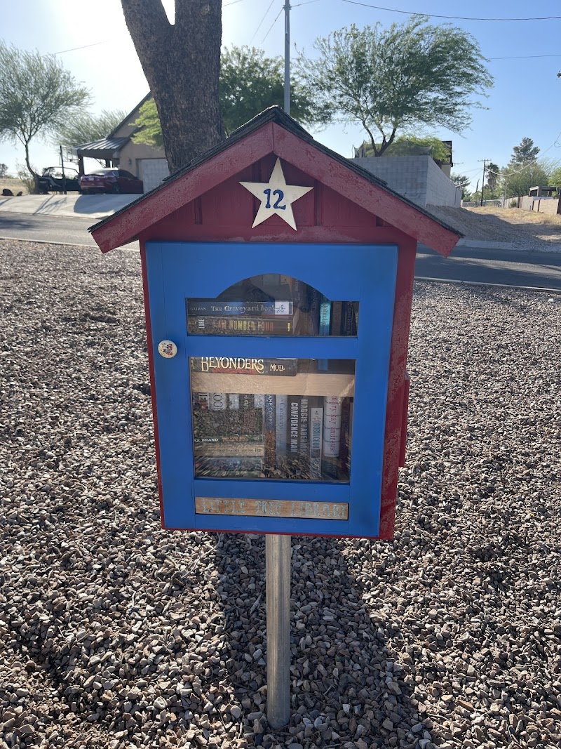 Photo of Little Free Library