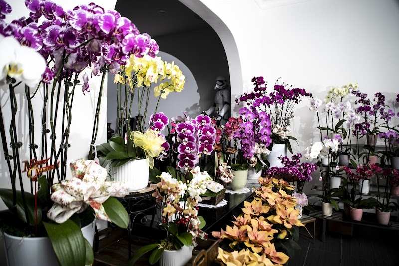 Eric Orchids photo 5