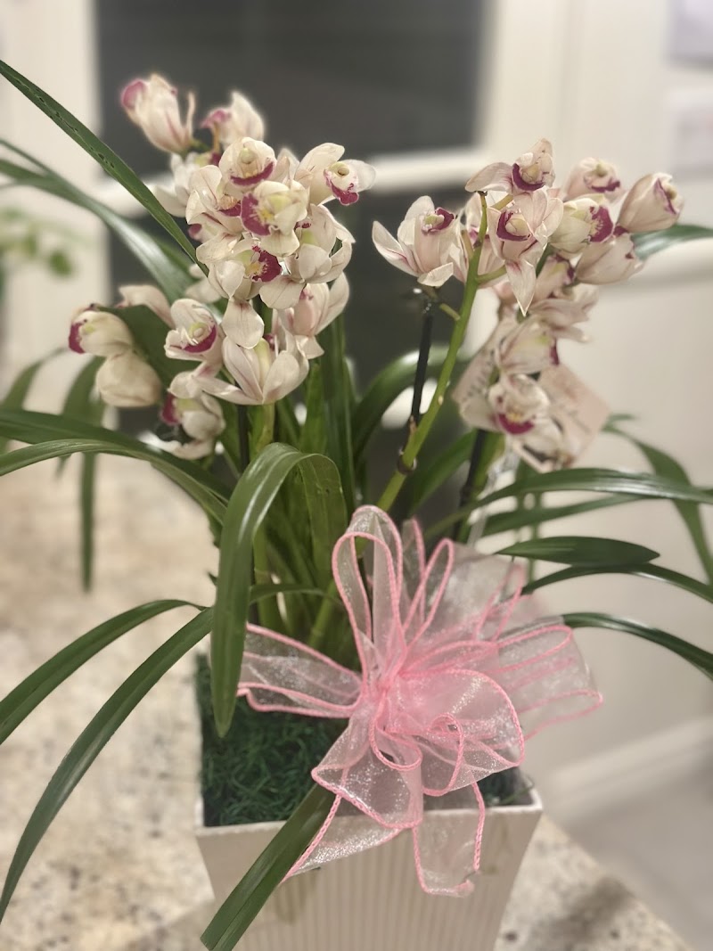 Eric Orchids photo 3