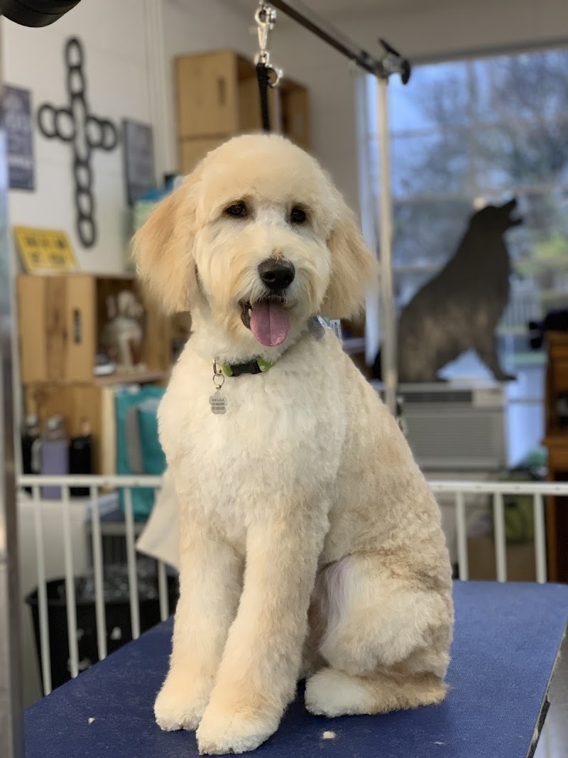 Cynthia's Dog Grooming photo 3