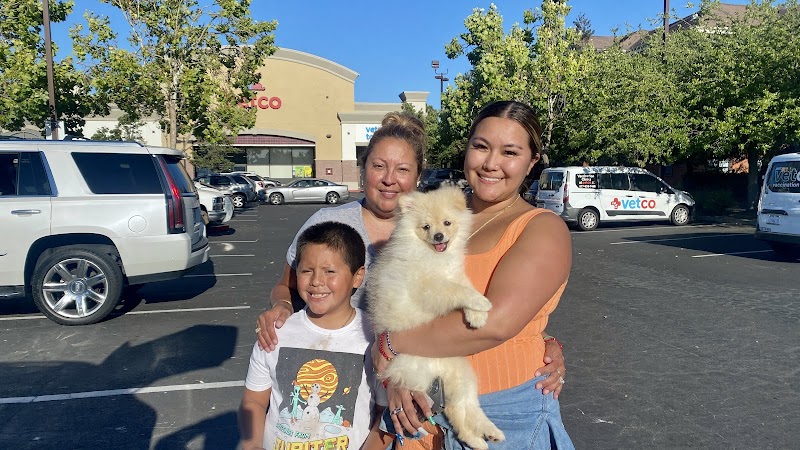 Bay Area Puppies photo 3