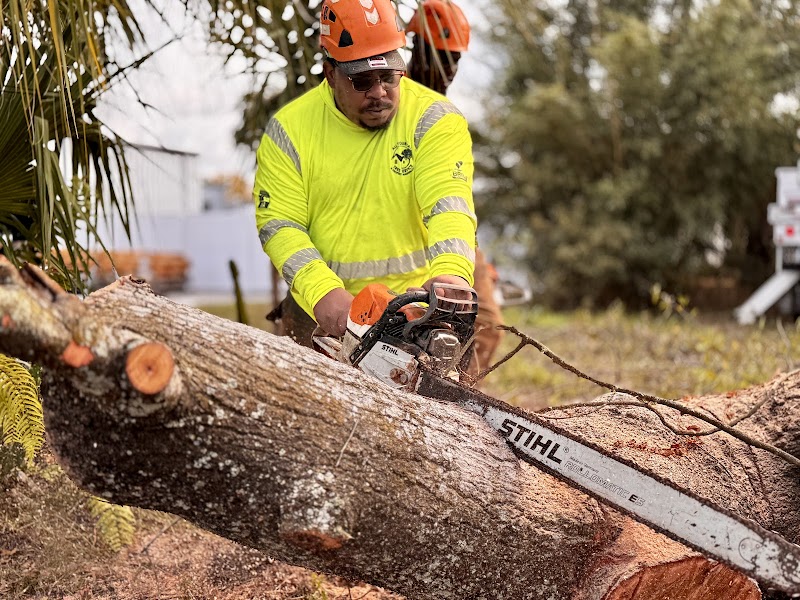 All Your Way Tree Service photo 2