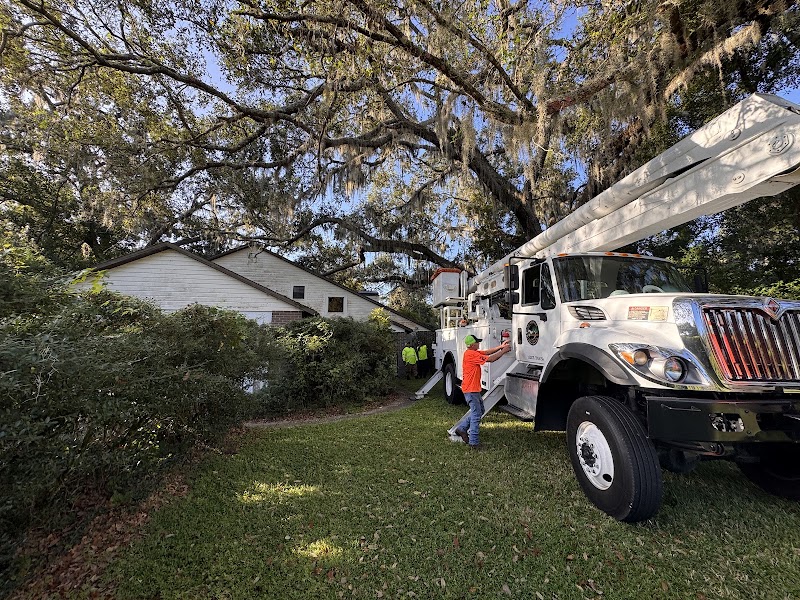 All Your Way Tree Service photo 4