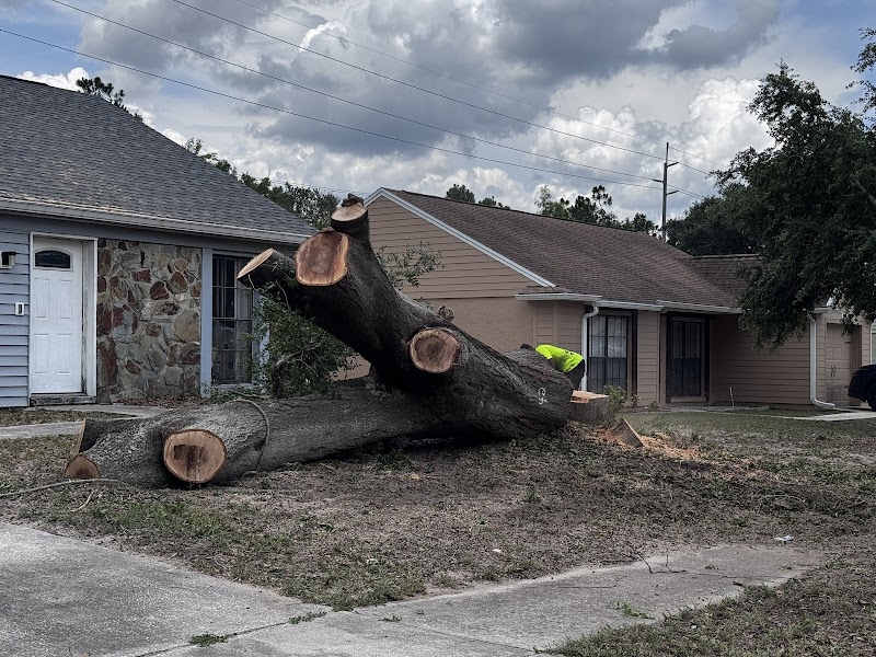 All Your Way Tree Service photo 5