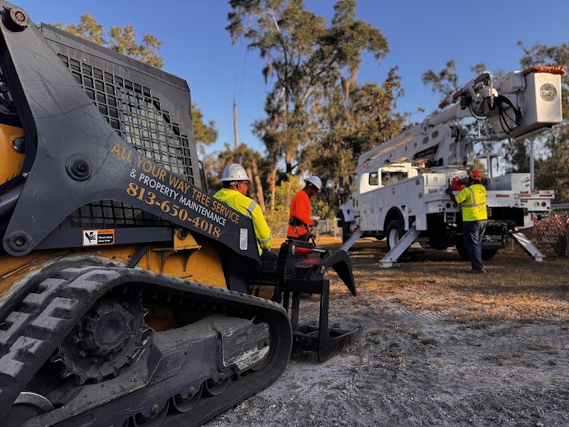 All Your Way Tree Service photo 3