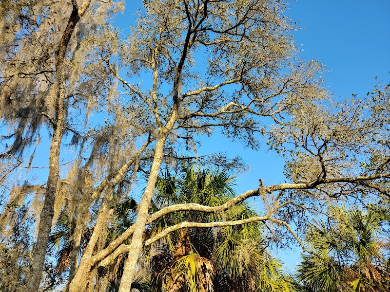 Ibis Park photo 3