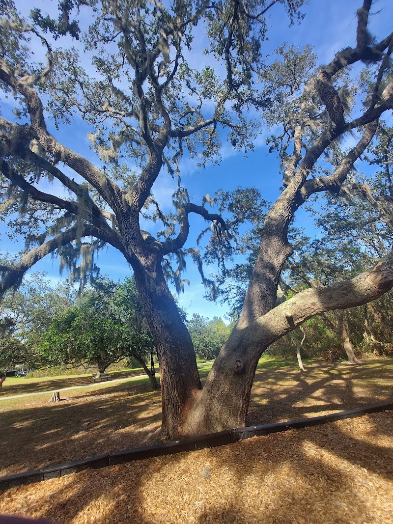 Photo of Ibis Park