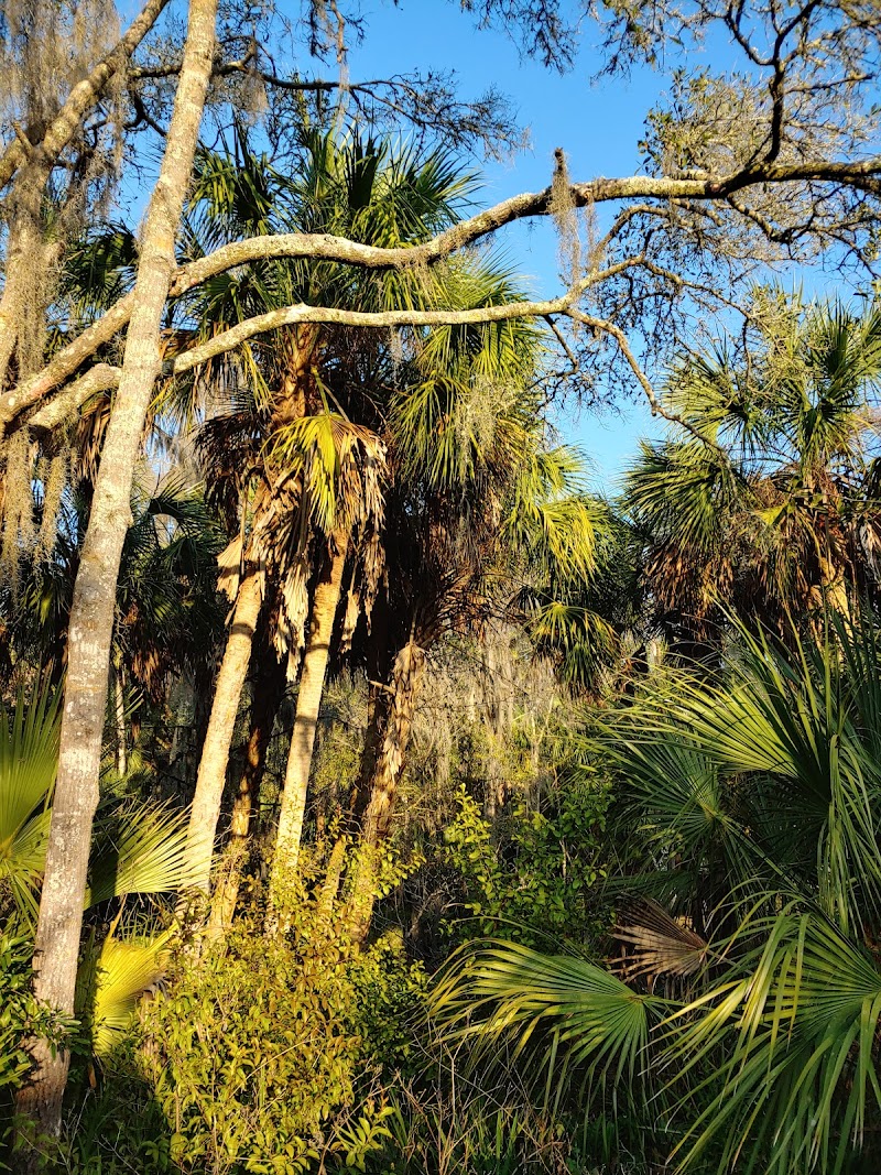 Ibis Park photo 5