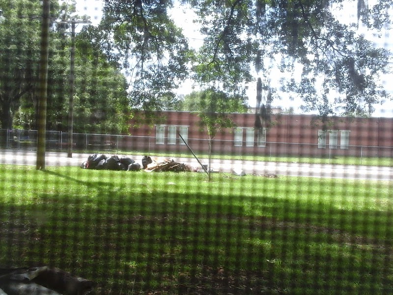Photo of Bryan Plant City Elementary School