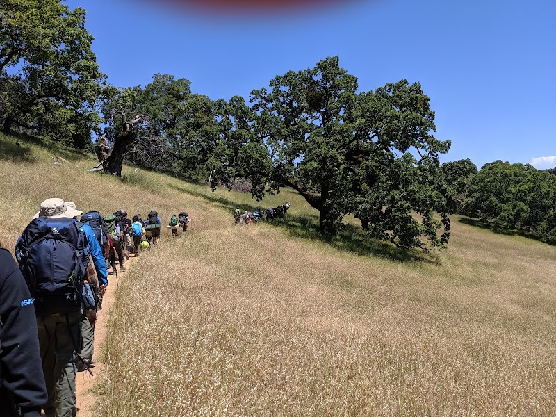 Photo of Lion Spring Camp