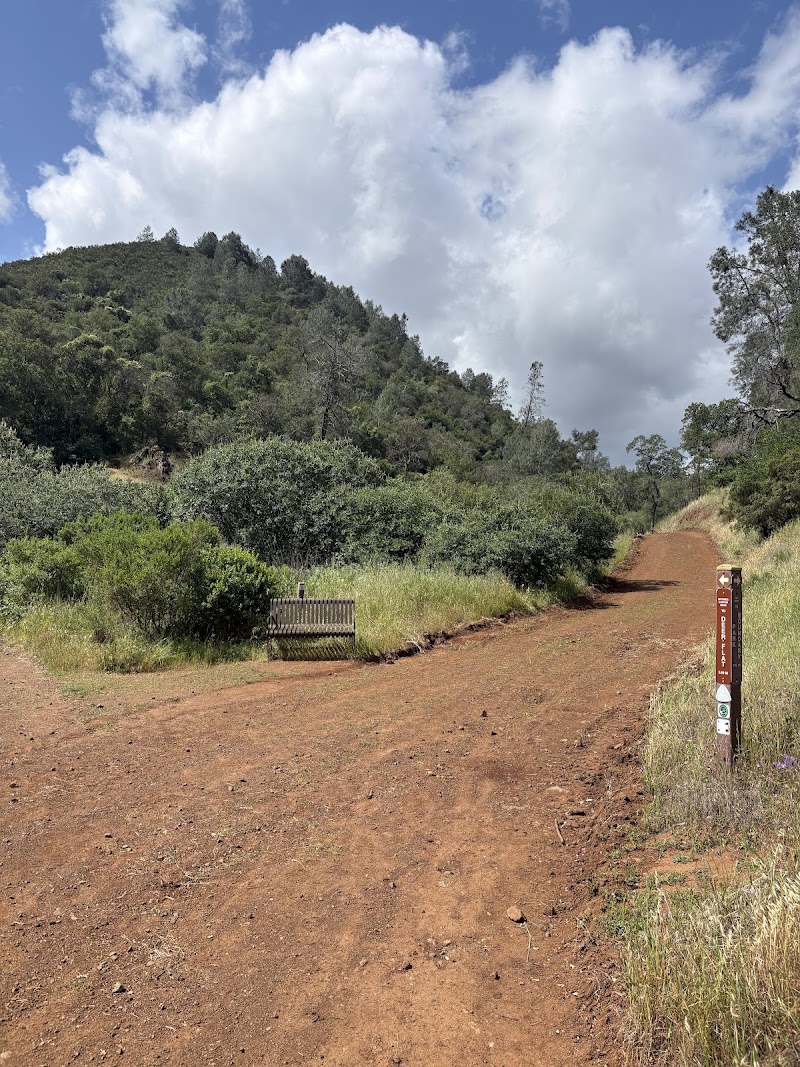 Mount Diablo State Park - Mitchell Canyon Visitor Center photo 3