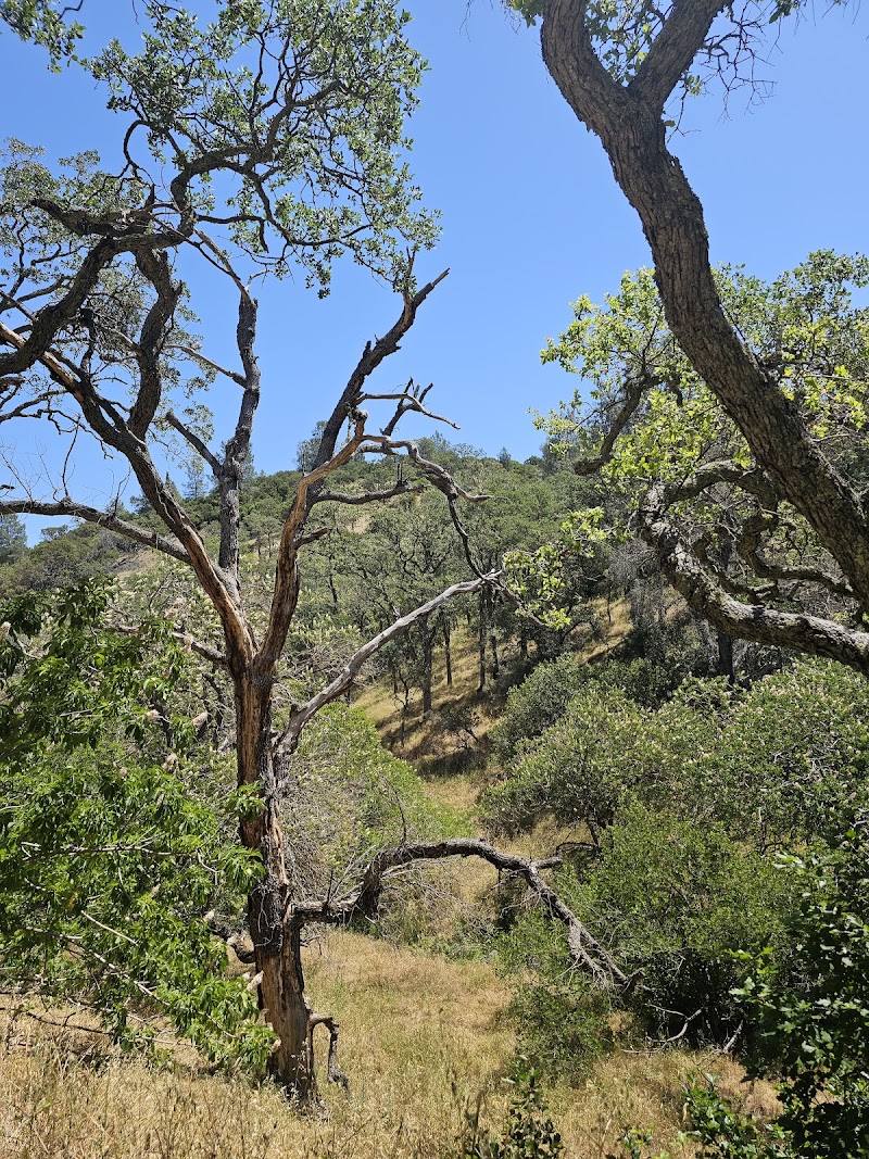 Mount Diablo State Park - Mitchell Canyon Visitor Center photo 5