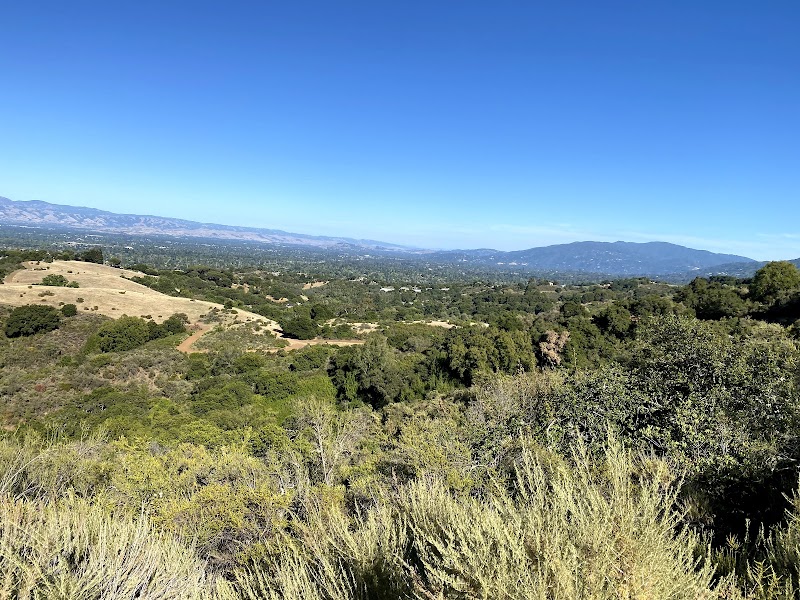 Photo of Nob Hill