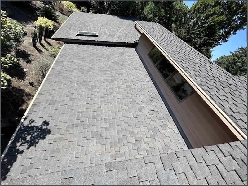 Photo of Nexora Fix Roofing