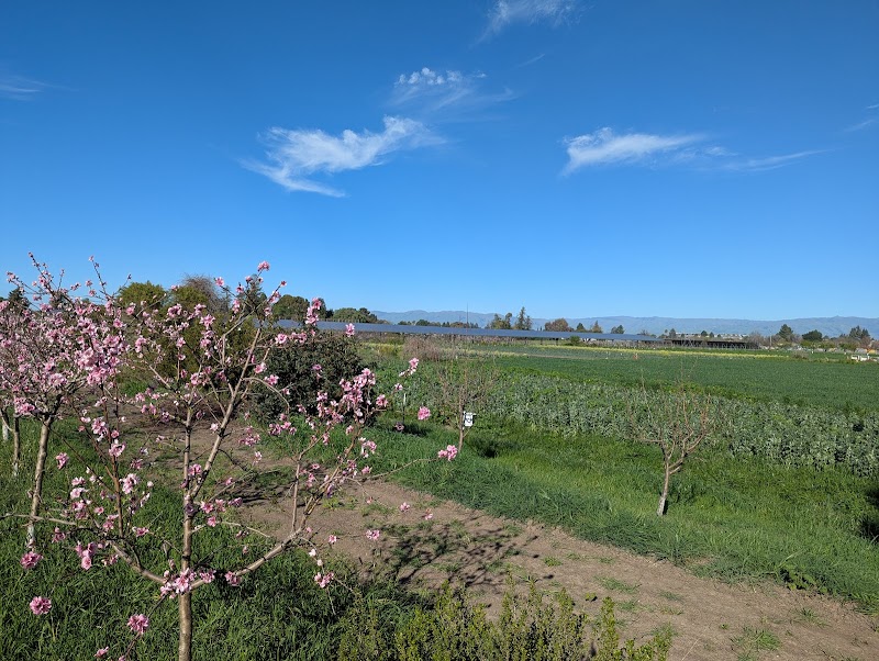 Santa Clara USD Farm photo 5
