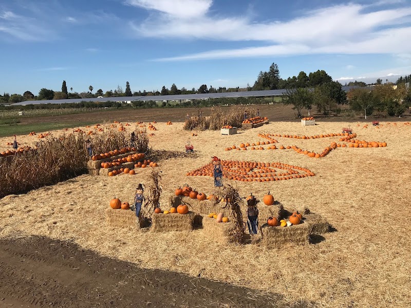 Santa Clara USD Farm photo 3