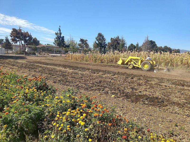 Santa Clara USD Farm photo 2