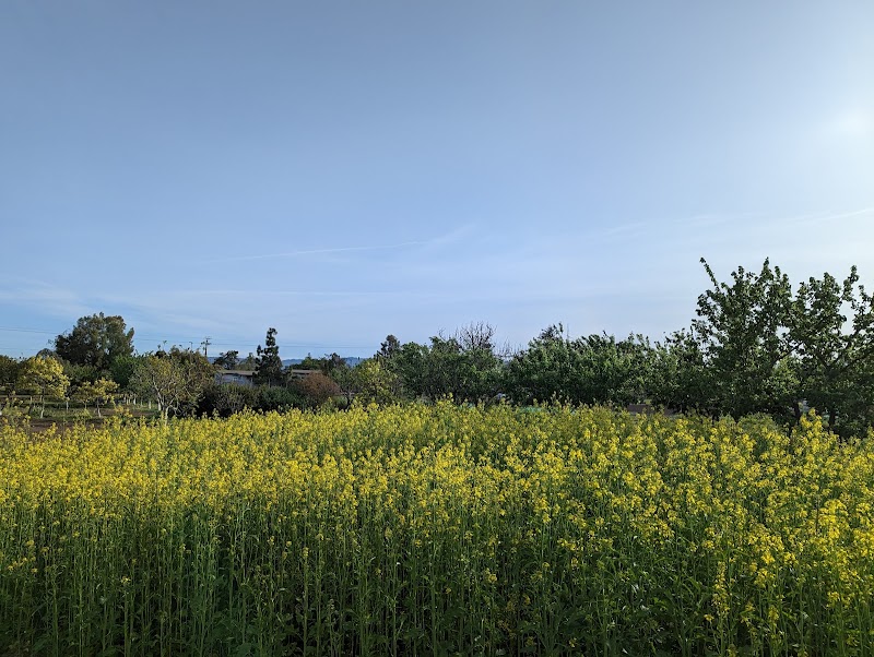 Santa Clara USD Farm photo 4