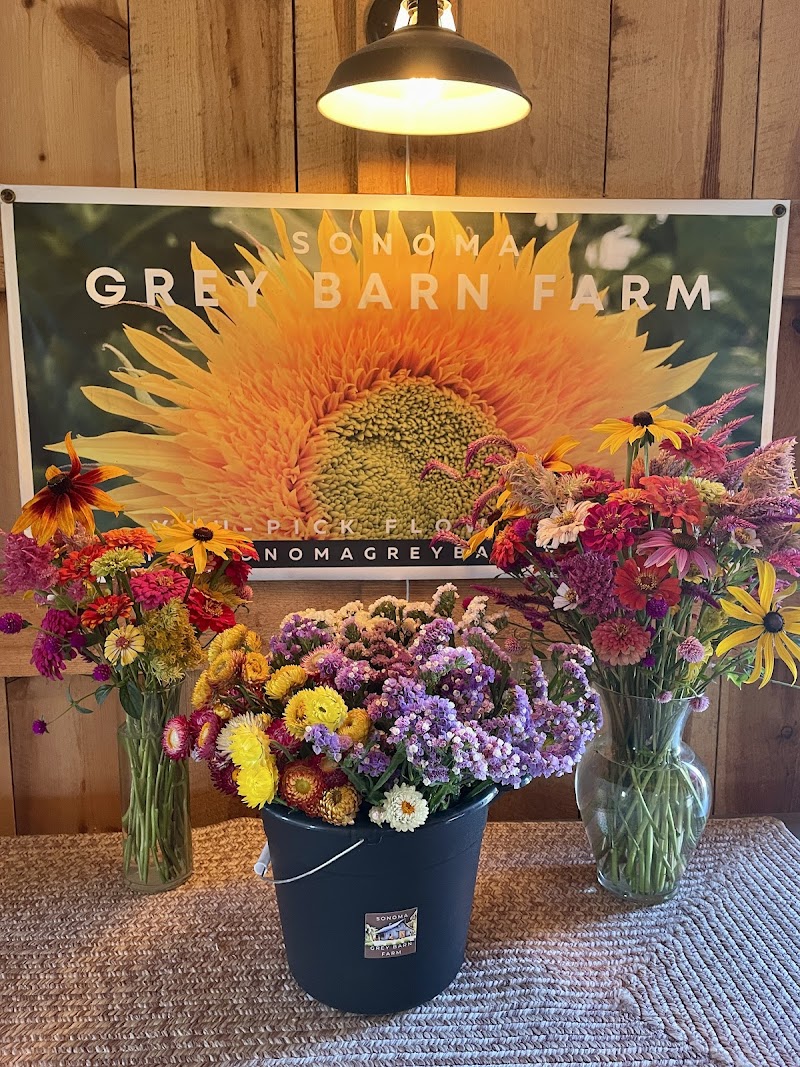 Sonoma Grey Barn Farm photo 3