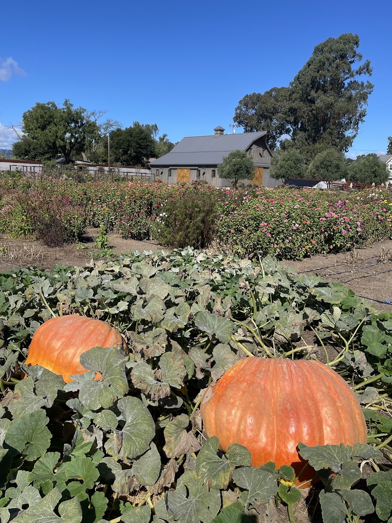 Sonoma Grey Barn Farm photo 5