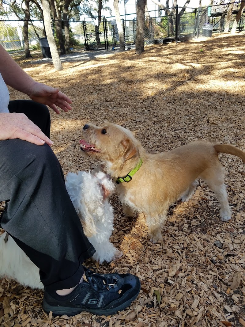 Safety Harbor Dog Park photo 5