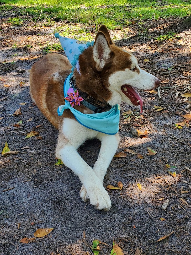 Safety Harbor Dog Park photo 3