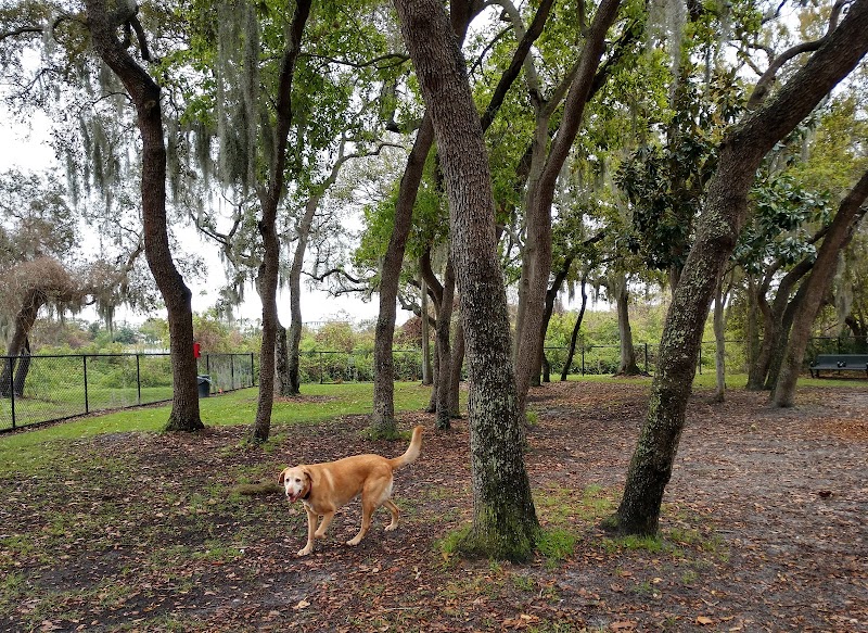Photo of Safety Harbor Dog Park