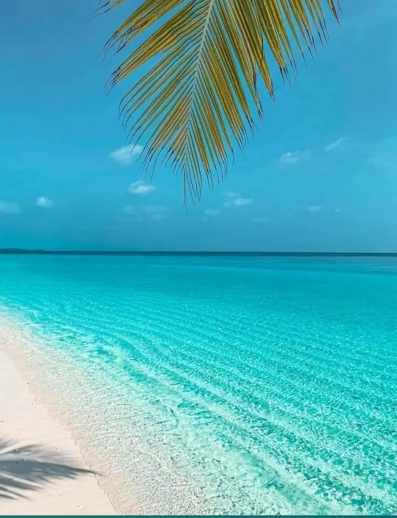 Photo of HP Travel Go-Dream Vacations