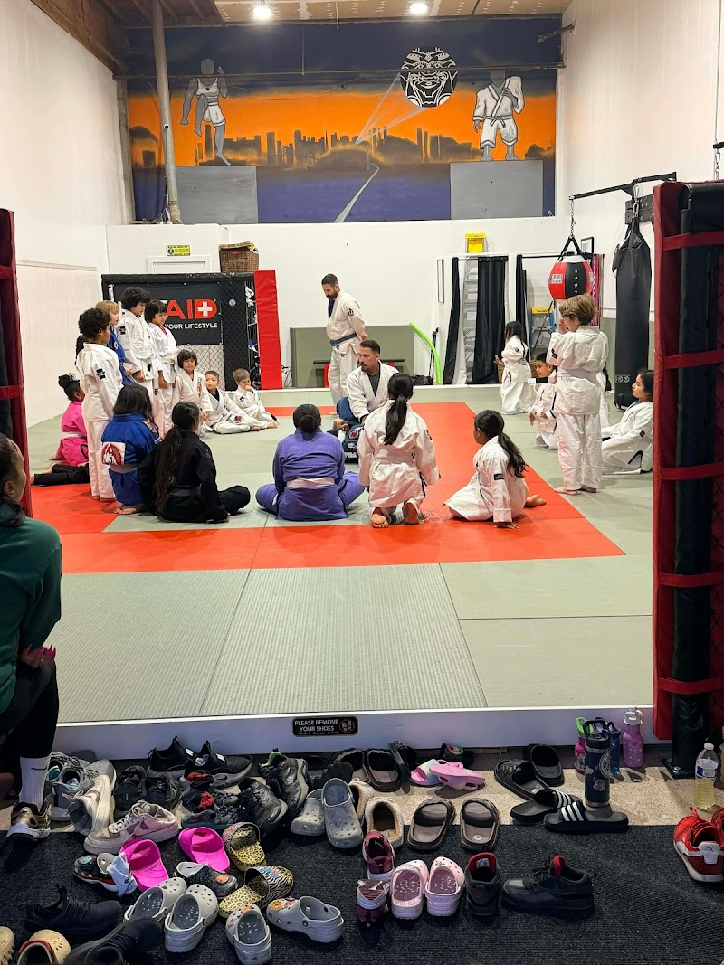 510 Renegade MMA - Brazilian Jiu Jitsu, Muay Thai, Kids BJJ photo 5