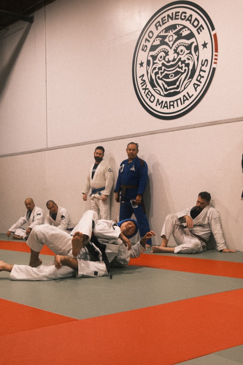 510 Renegade MMA - Brazilian Jiu Jitsu, Muay Thai, Kids BJJ photo 3