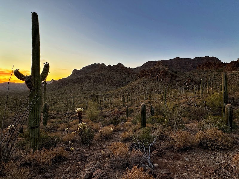 Gates Pass Scenic Lookout photo 3
