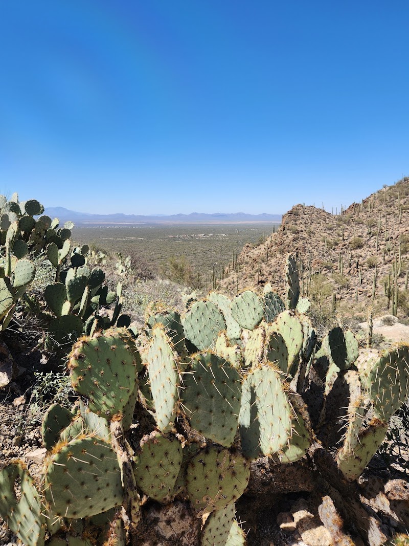 Gates Pass Scenic Lookout photo 5