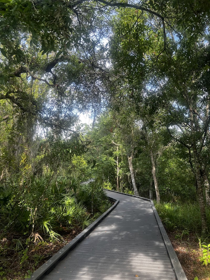 Photo of Brooker Creek Buffer Preserve