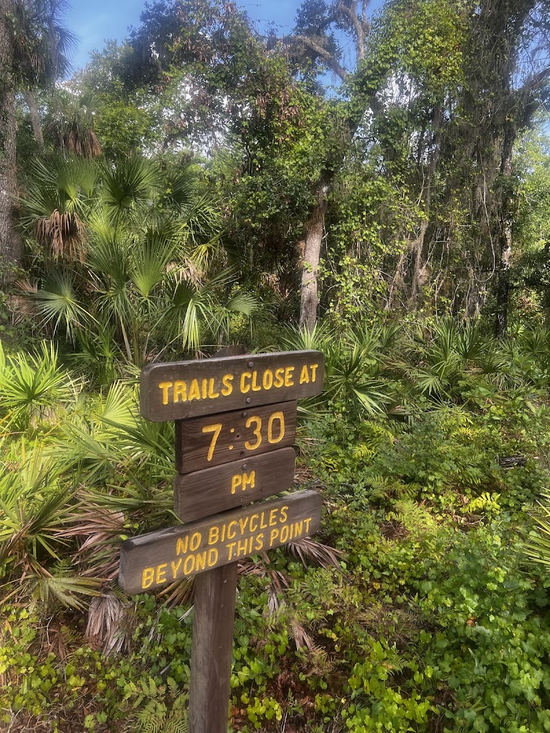 Brooker Creek Buffer Preserve photo 4