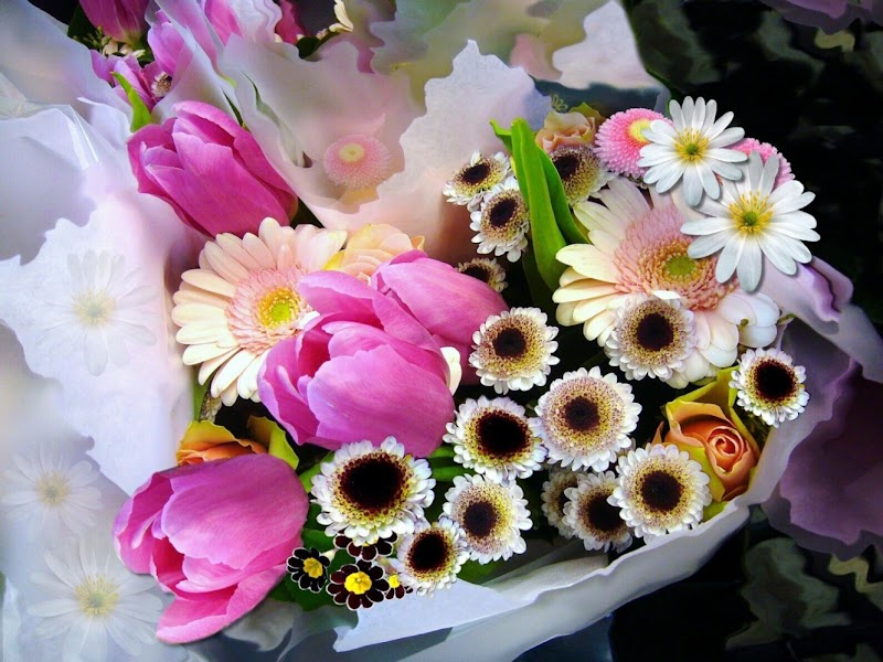 Seulberger's Florist & Gifts photo 5