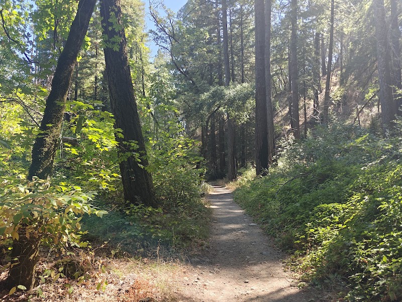 Bothe Napa Valley State Park Visitor Center photo 2