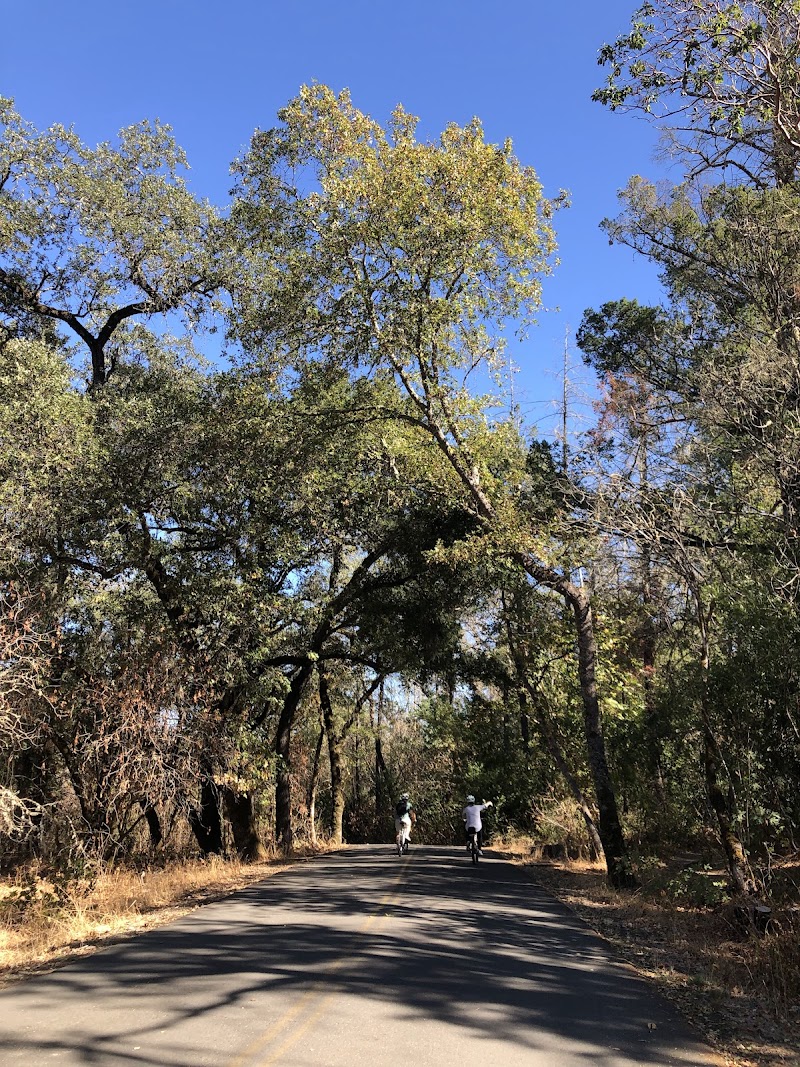 Bothe Napa Valley State Park Visitor Center photo 3
