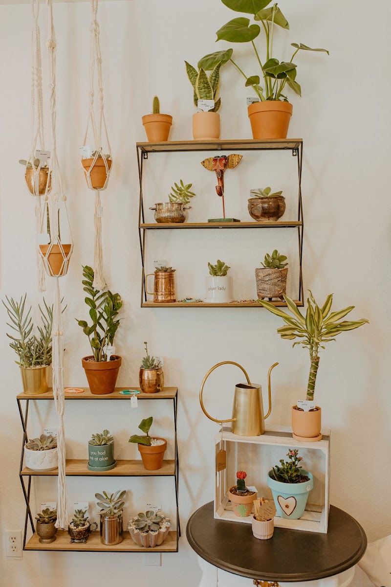 Sweet Creek Boutique photo 3