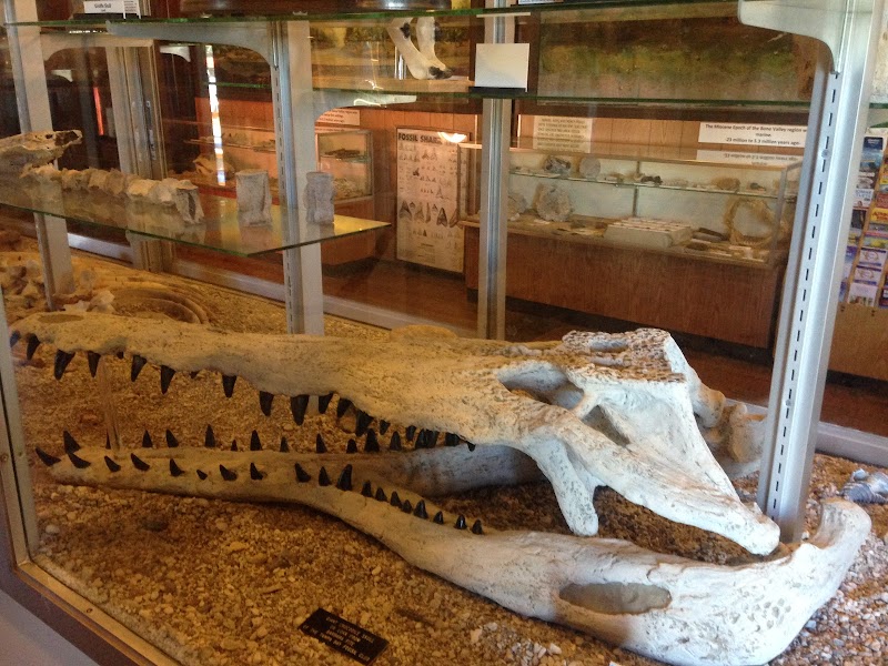 Photo of Mulberry Phosphate Museum