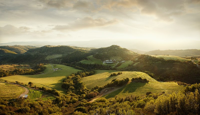 Repris | Moon Mountain Vineyard (Reservations Required) photo 4
