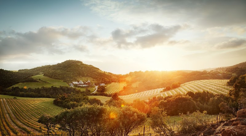 Photo of Repris | Moon Mountain Vineyard (Reservations Required)