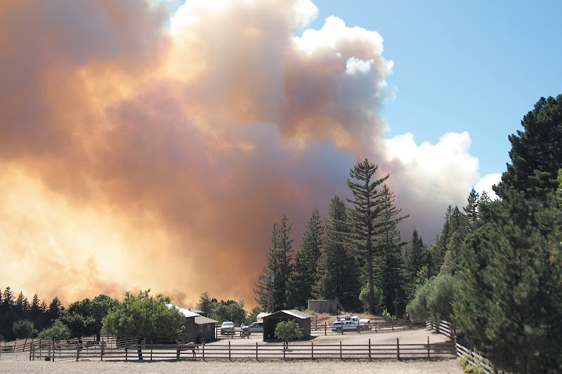 Photo of Fire Safe Marin