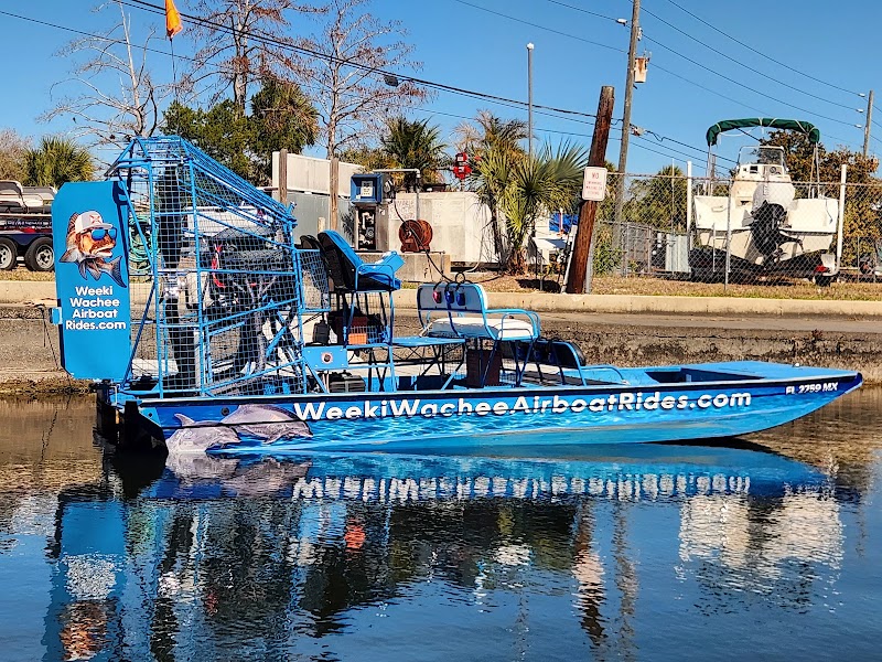 Weeki Wachee Airboat Rides photo 5