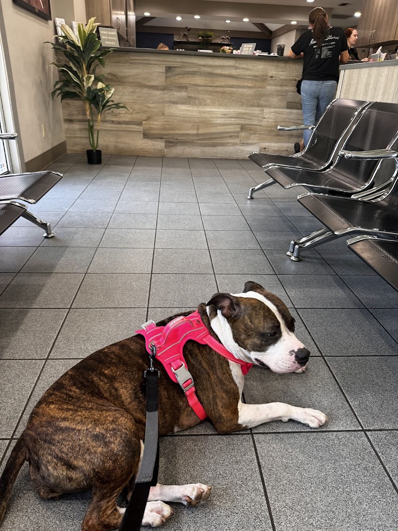 Bloomingdale Animal Hospital photo 3