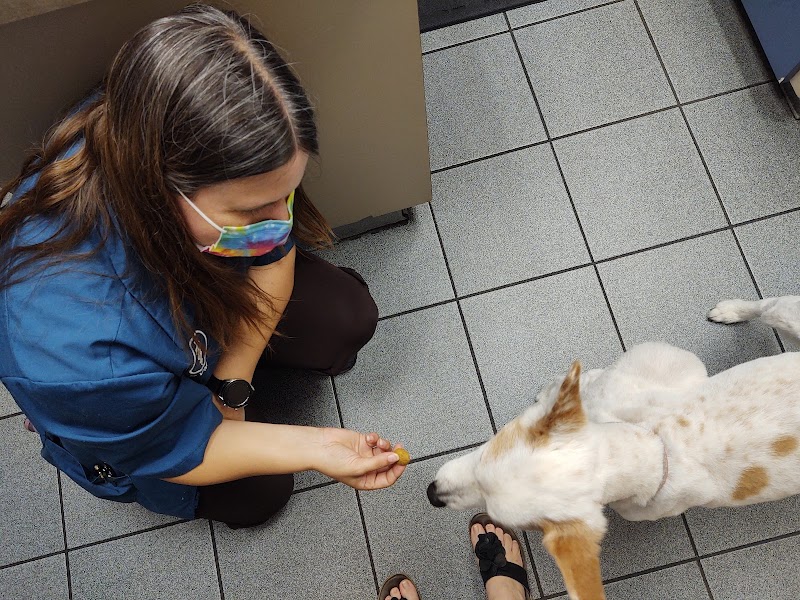 Bloomingdale Animal Hospital photo 4