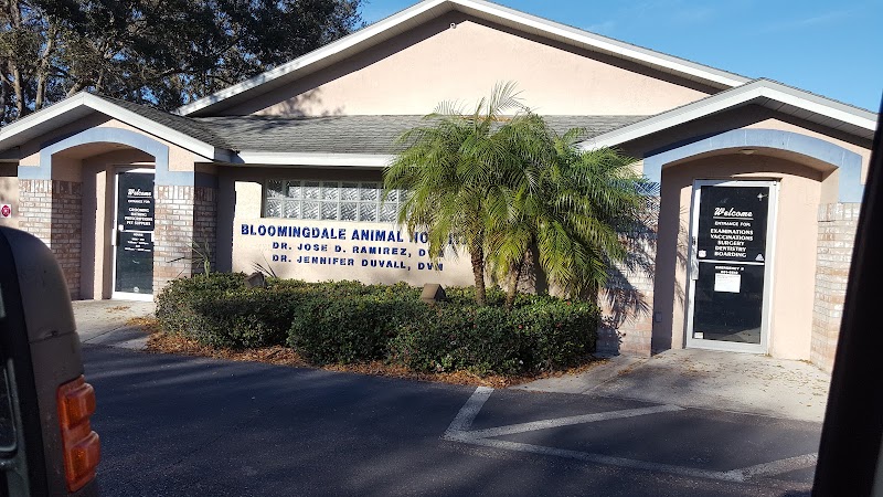 Bloomingdale Animal Hospital photo 5