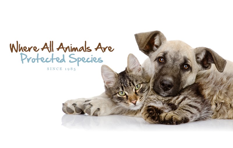 Photo of Bloomingdale Animal Hospital