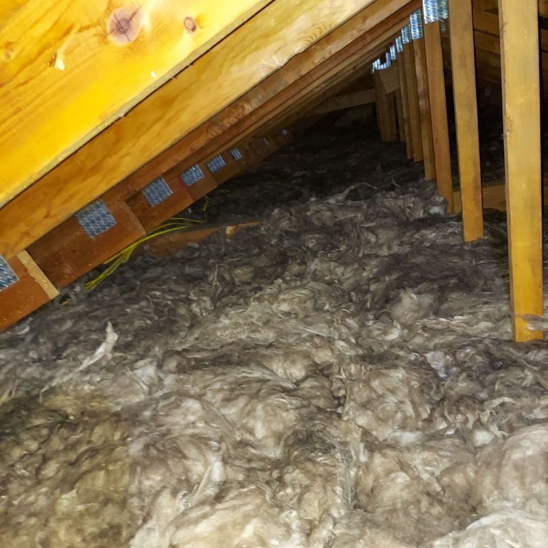 Pestfree Attic Cleaners Saratoga photo 5