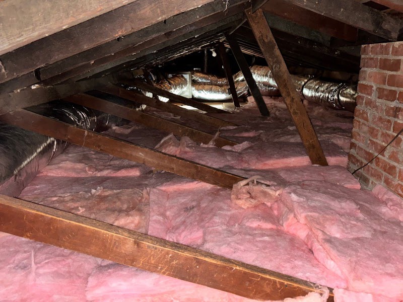 Pestfree Attic Cleaners Saratoga photo 2
