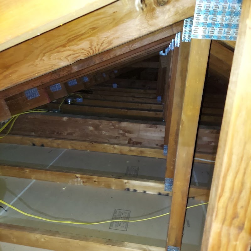 Pestfree Attic Cleaners Saratoga photo 4